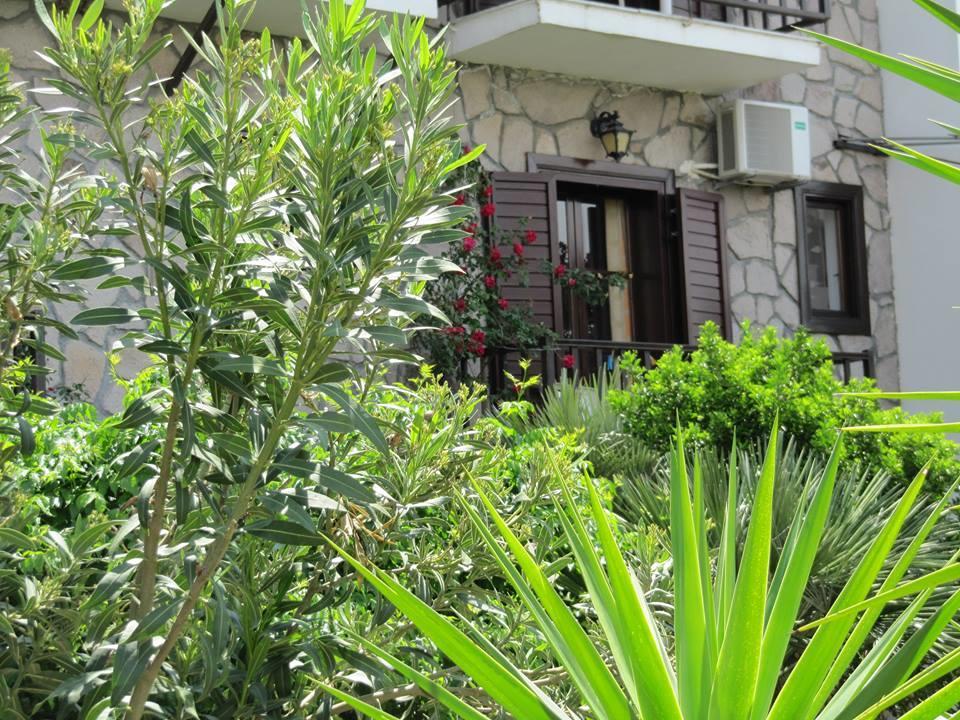 Islands Apartments بترا المظهر الخارجي الصورة